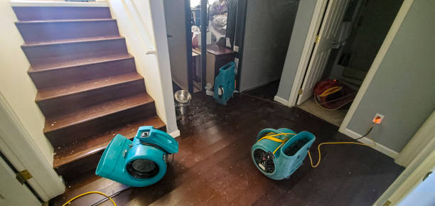 Best Water damage repair service  in Florence, SC