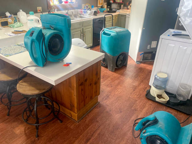 Best Mold removal after water damage  in Florence, SC