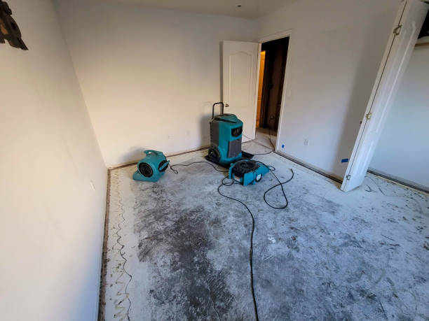 Best Water damage cleanup near me  in Florence, SC
