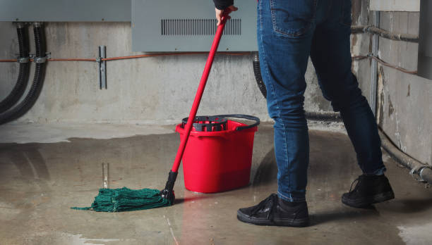Best Carpet water damage restoration  in Florence, SC