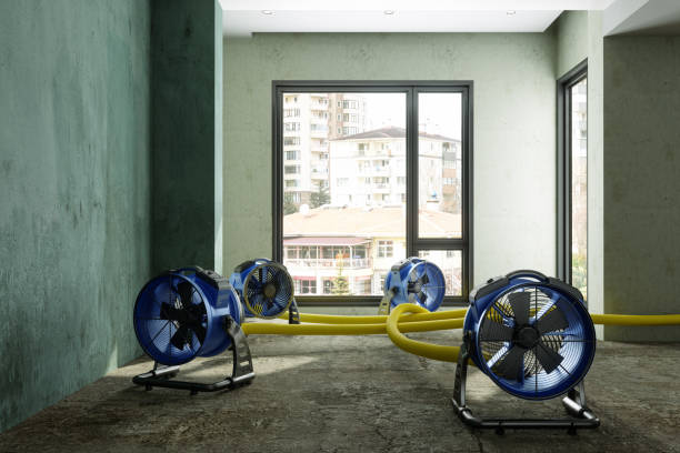 Best Commercial water damage restoration  in Florence, SC