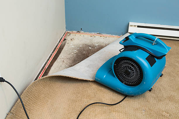 Best 24-hour water damage restoration  in Florence, SC